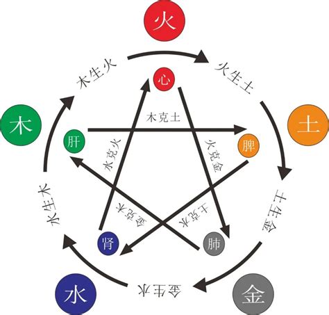 木多金缺|八字金太多缺木 (五行中没有木但是金多怎么办)